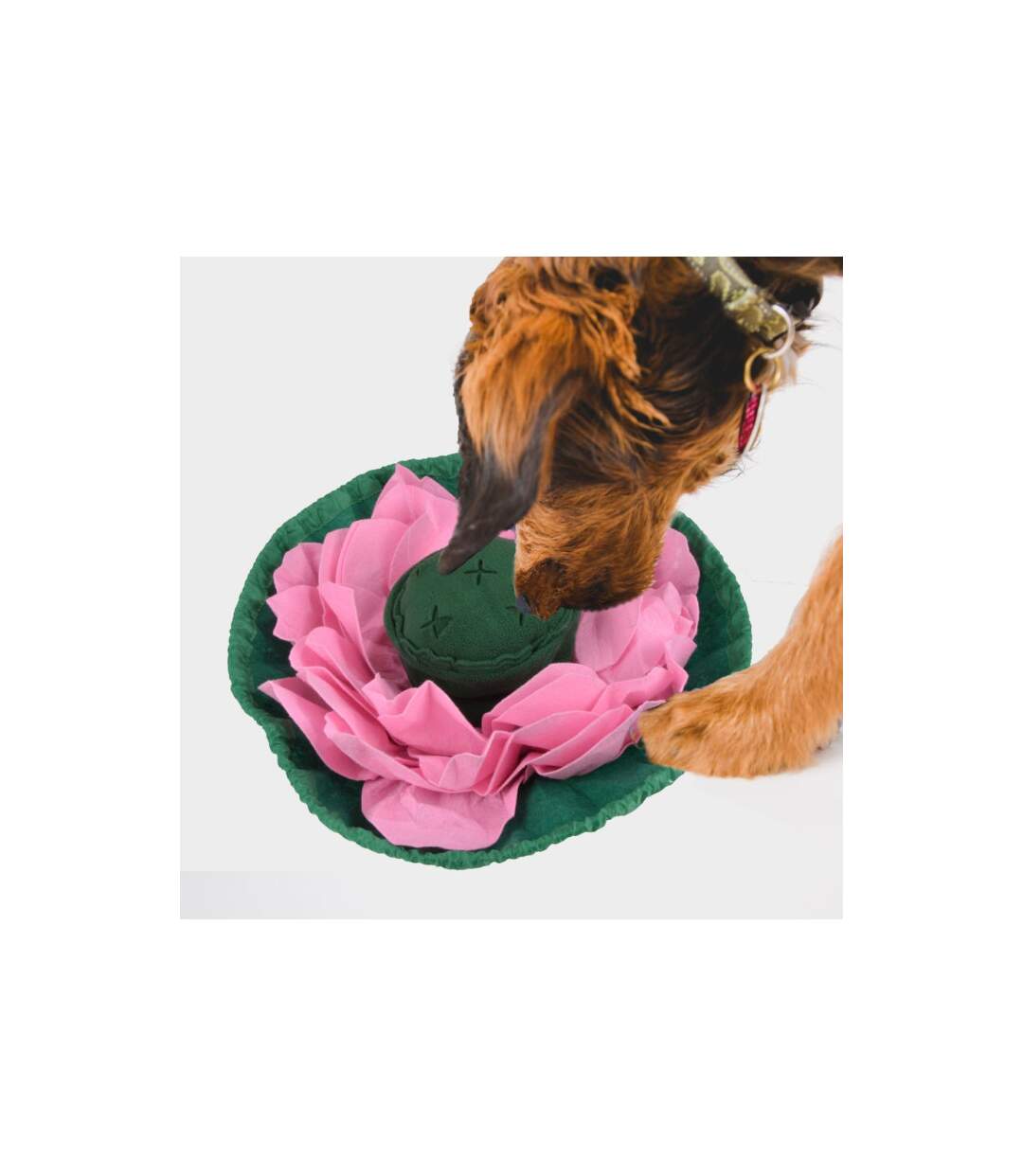 Tapis de Fouille Ventouse Lotus 45cm Rose & Vert