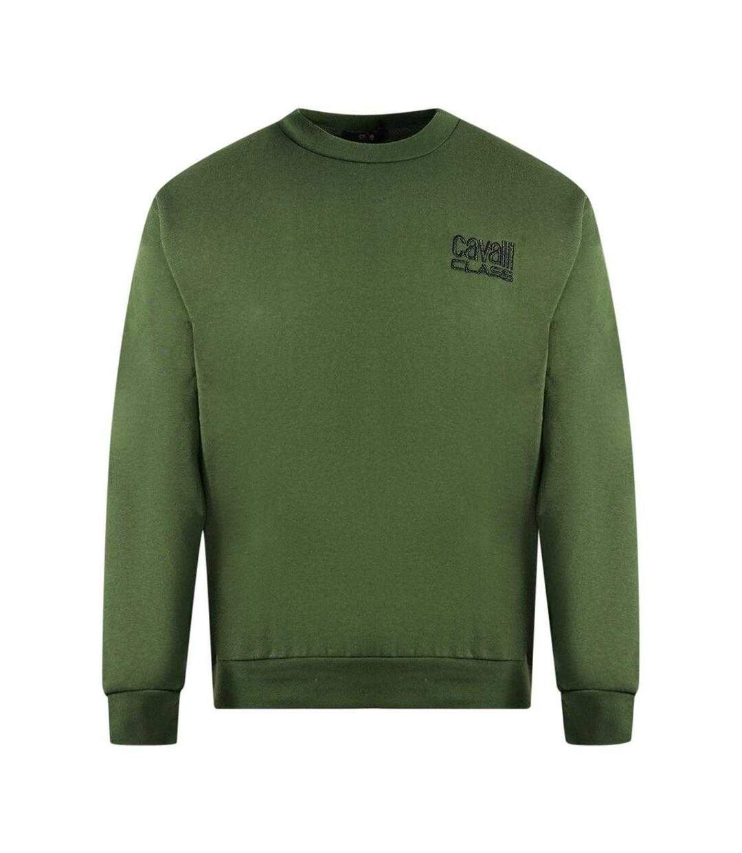 Pull Motif/style Logo Homme Vert Cavalli Class-1