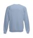 Fruit Of The Loom Mens Raglan Sleeve Belcoro® Sweatshirt (Mineral Blue) - UTBC368