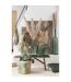 Vase Design en Verre Carafe 56cm Vert-2