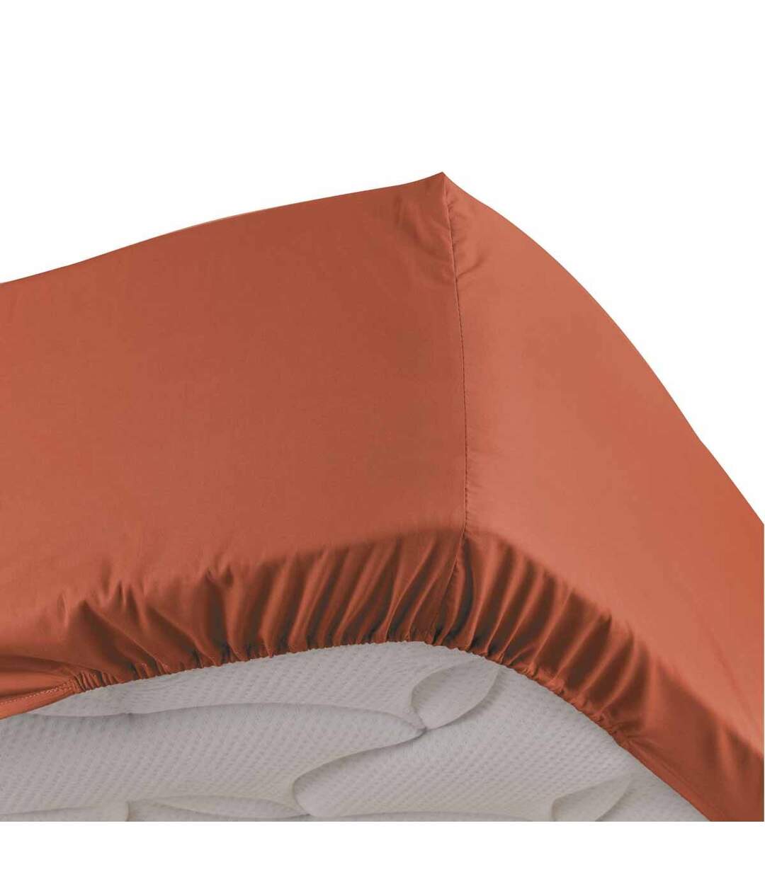 Drap Housse Percaline 140x190cm Terracotta-1