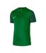 Mens Trophy V Logo Polyester Jersey Green Nike-1