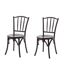 Lot de 2 chaises Bistrot en bois - Marron foncé