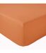 Drap housse en percale de coton uni PASSION PERCALE Bonnet de 30 cm-1
