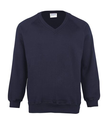 Maddins Mens Colorsure V-Neck Sweatshirt (Navy) - UTRW844
