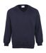 Maddins Mens Colorsure V-Neck Sweatshirt (Navy)