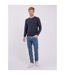 Pull col rond pur coton AMATEO-4