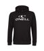 Sweat À Capuche Motif/style Logo Homme Noir O´Neill-2