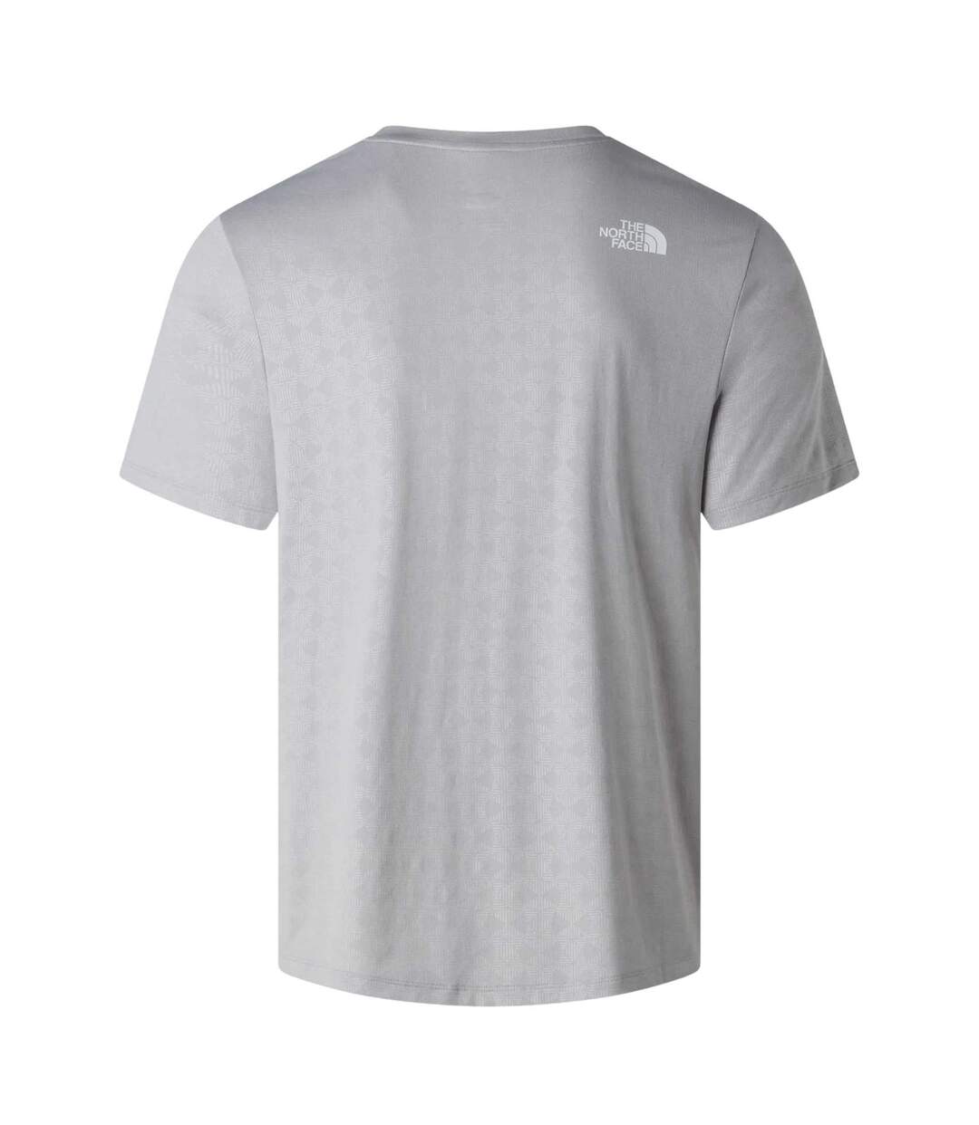T-shirt Pentdome Homme Gris The North Face-3