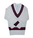 Mens cricket jumper white/navy/red Carta Sport-1