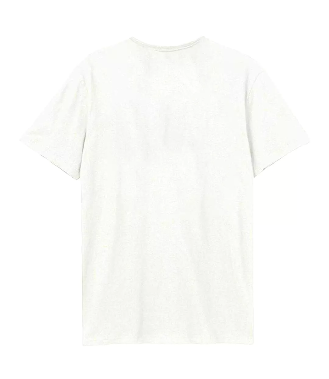 T-shirt North American Tour Adulte Vieux Blanc Amplified-2