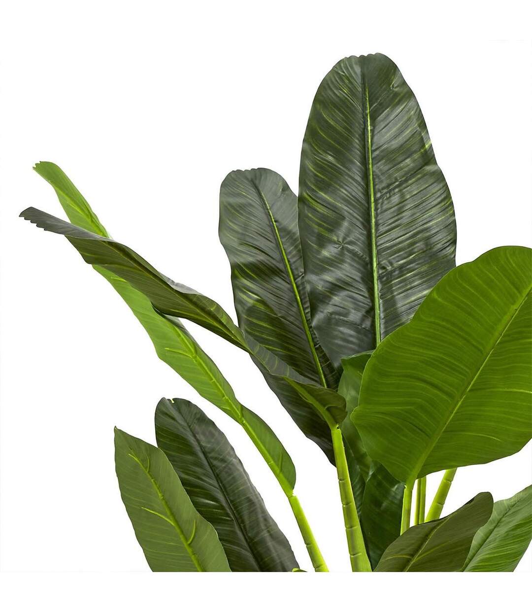Plante Artificielle XXL Bananier 160cm Vert-3