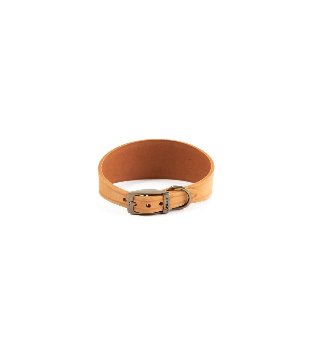 Timberwolf leather dog collar 34cm 43cm mustard Ancol-1