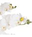 Fleur Artificielle Pot Ciment Orchidée 65cm Noir-2