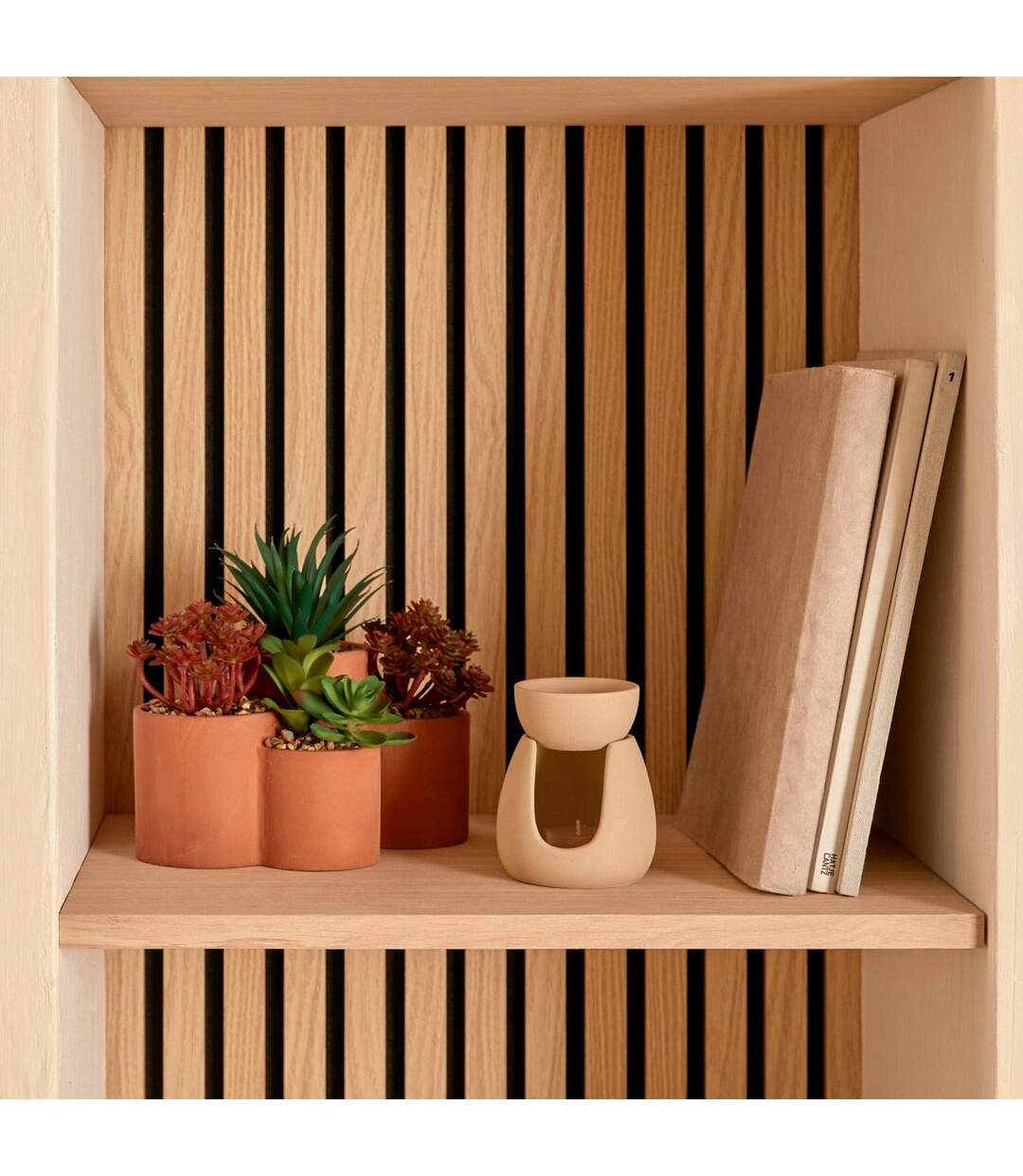 Plantes Grasses Artificielles en Pot Wonj 22cm Terracotta-2