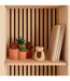 Plantes Grasses Artificielles en Pot Wonj 22cm Terracotta-2