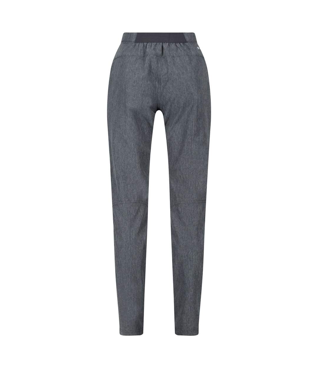 Pantalon de randonnée pentre femme gris Regatta