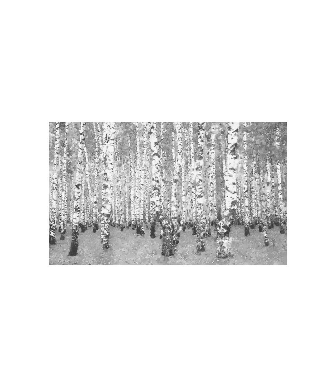 Papier Peint Birch Seclusion II 450x270cm-2