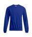 Sweat New Homme Bleu Roi Promodoro-1