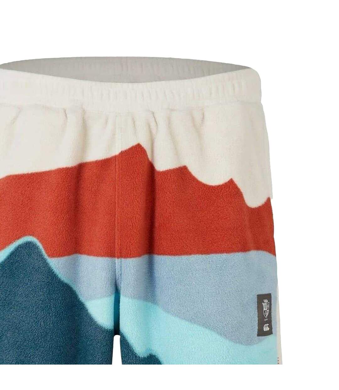 Unisex Adult Outback 2024 British & Irish Lions Rugby Shorts Rainy Day Canterbury-2