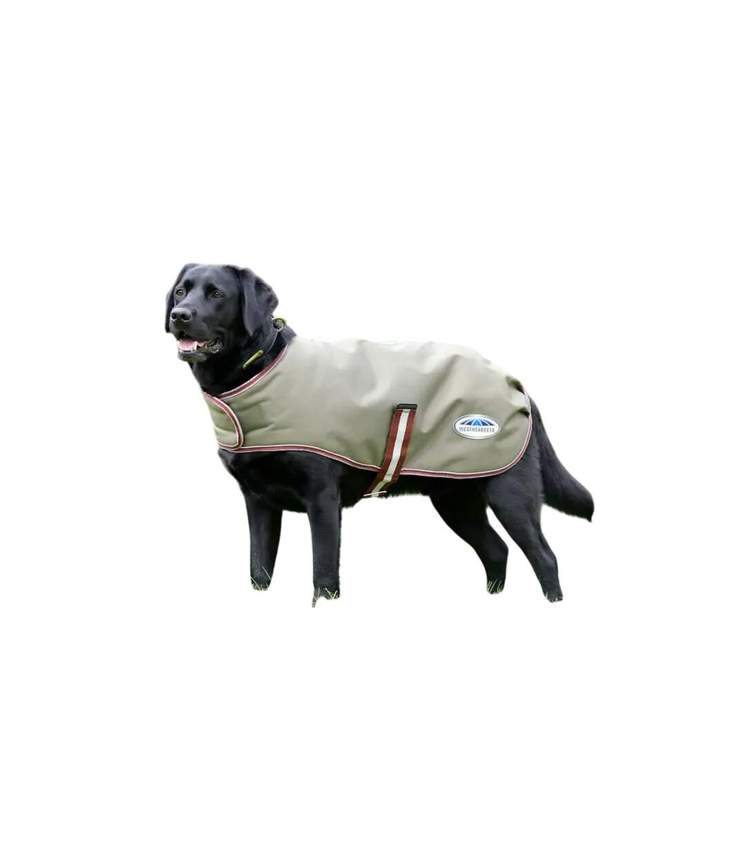 Comfitec premier free parka medium dog coat dark blue/grey/white/bright purple Weatherbeeta-1