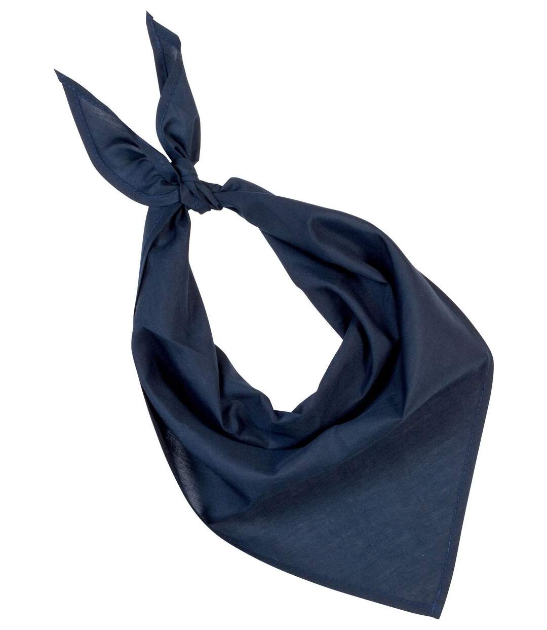 Lot de 10 bandanas fiesta - bleu marine-1