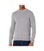 Pull Gris Clair Homme Lacoste Tricot AH2341 - 3XL