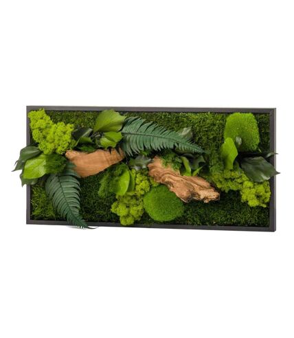 Tableau végétal stabilisé canopé Rectangle 57 x 27 cm