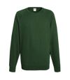Fruit Of The Loom - Sweatshirt léger - Homme (Vert bouteille) - UTBC2653