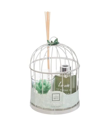 Coffret de Fragrances Cage 20cm Eucalyptus