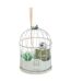 Coffret de Fragrances Cage 20cm Eucalyptus-1