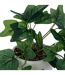 Plante Artificielle en Pot Lierre 24cm Blanc-2