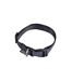 Collier Réglable pour Chien Essentiel 35cm Noir