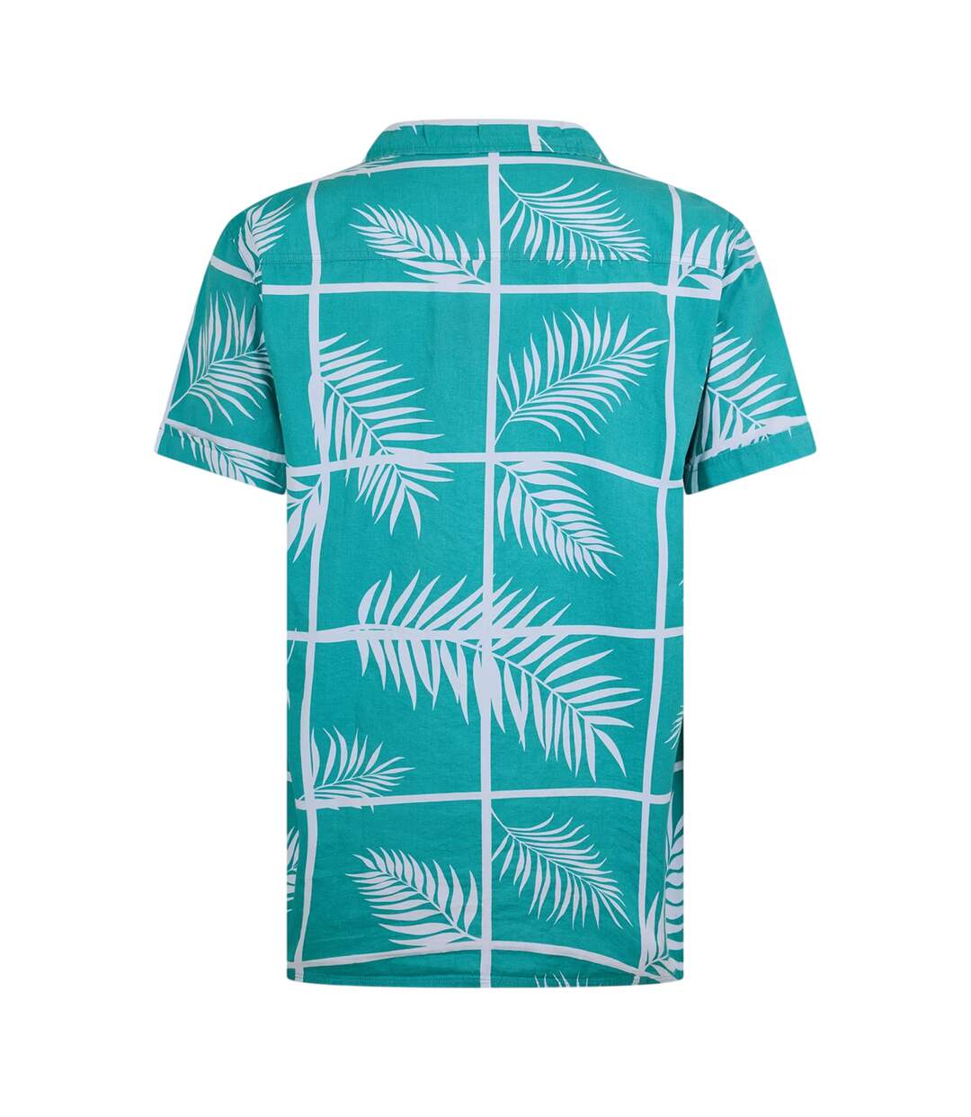 Chemise Motif/style À Motifs Homme Bleu Sarcelle Bench-2