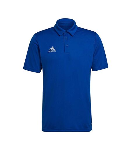 Polo Entrada Homme Bleu Adidas