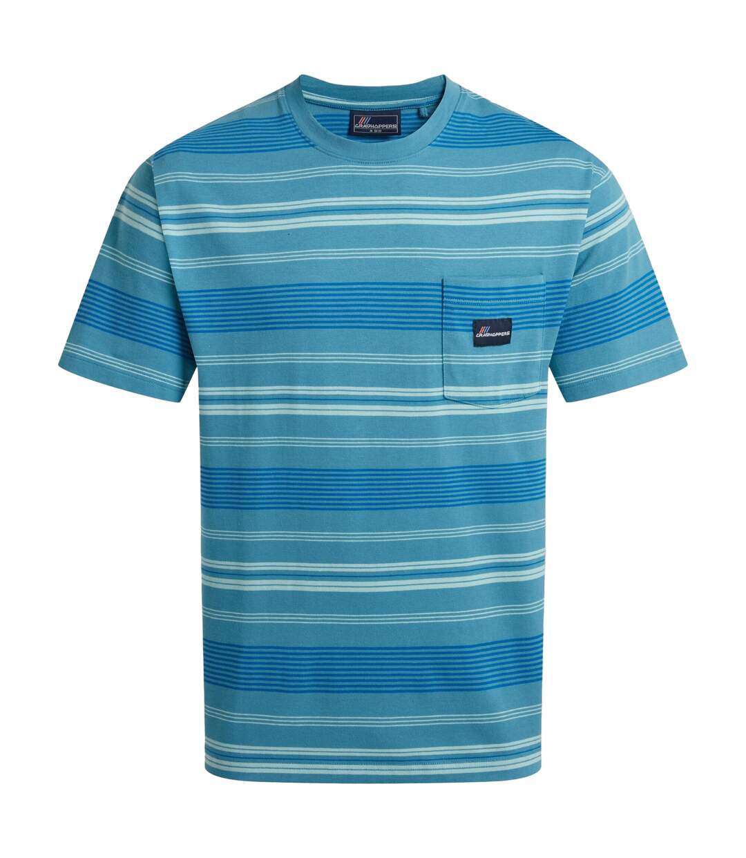 T-shirt Manches Courtes Motif/style À Rayures Pointer Homme Bleu Clair À Rayures Craghoppers-2