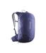 Sac À Dos Trailblazer 20 L Bleu Salomon-1