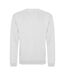 Sweat Adulte Cendre Chiné Awdis-2