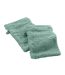 Lot de 2 Gants de Toilette Elegance 15x21cm Céladon-1