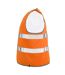 Gilet Haute Visibilité Weyburn Adulte Orange Fluo Mascot-3