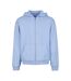 Sweat À Capuche À Fermeture Éclair Pour Hommes Bleu Poudré Build Your Brand-1