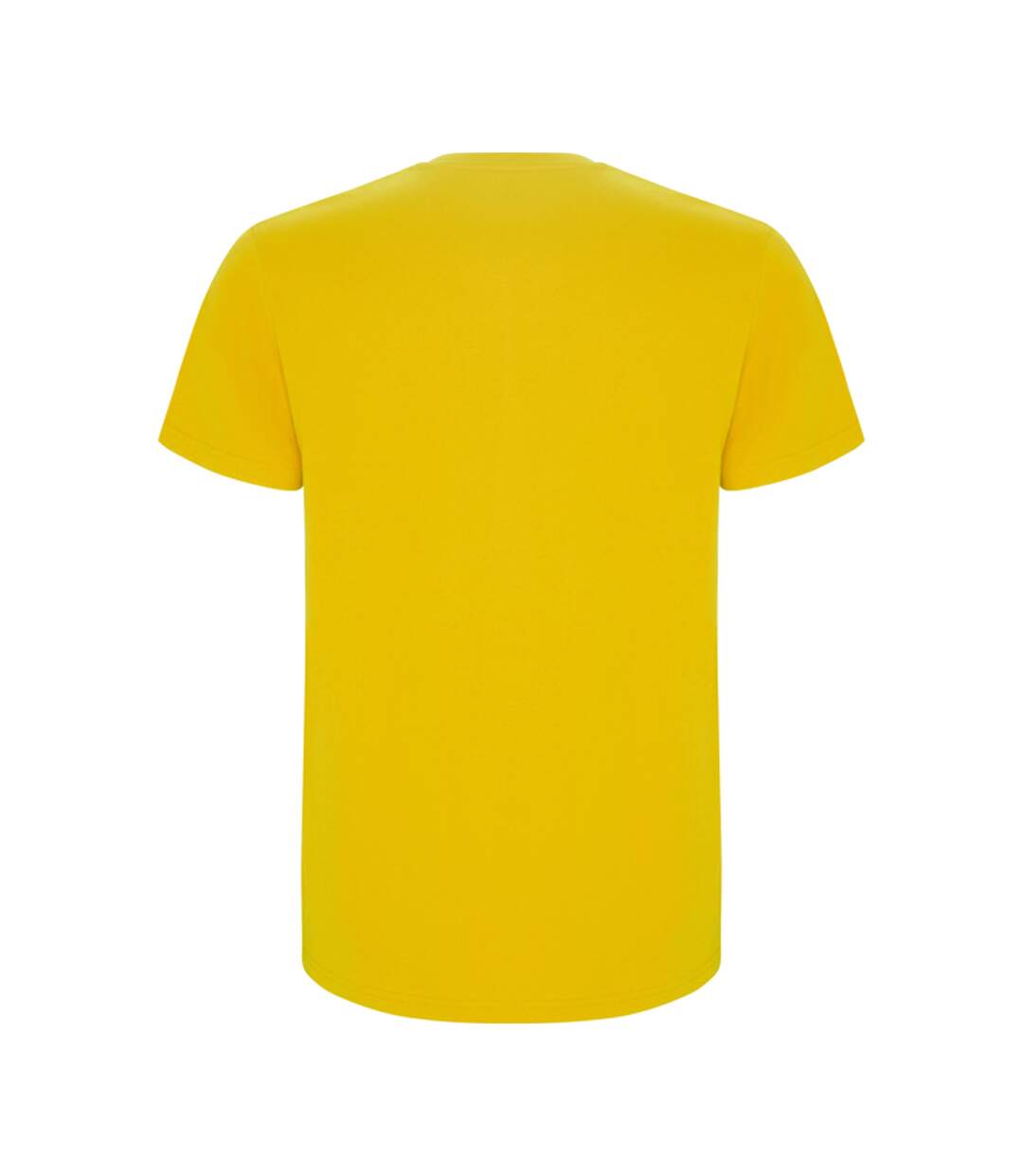 T-shirt Stafford Homme Jaune Roly-2