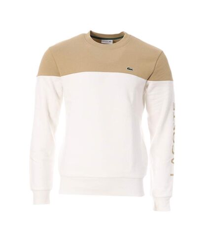 Sweat Beige/Blanc Homme Lacoste TSI - L