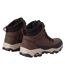 Bottines De Marche Blake Femme Châtaigne Rouge Sombre Regatta-2