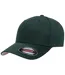 Casquette De Baseball Épicéa Flexfit-1