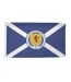 Crest Football Flag One Size Navy White Scotland-1