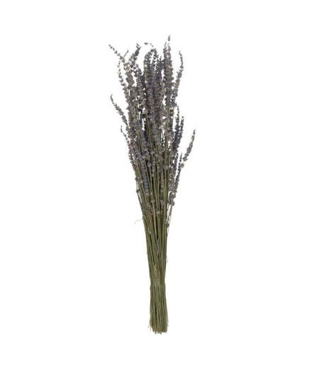 Bouquet de Fleurs Séchées Lavande 73cm Mauve
