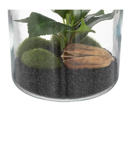 Terrarium en Verre Bota 19cm Transparent