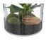 Terrarium en Verre Bota 19cm Transparent-3