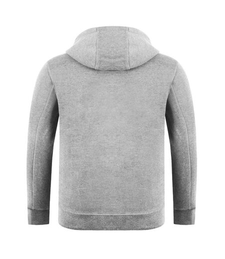 Sweat À Capuche Motif/style Graphique Homme Gris Chiné Firetrap